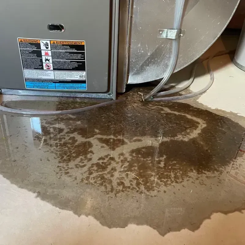 Appliance Leak Cleanup in Patterson Tract, CA